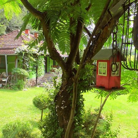 Etno-Kuca "Leka" Klisura Villa Despotovac Exterior photo